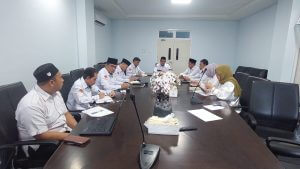 program strategis